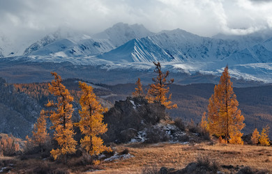 Similar image 22333961