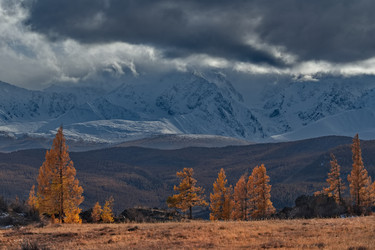 Similar image 22333962