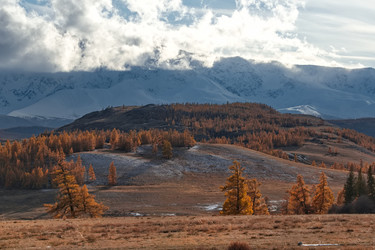 Similar image 22333965