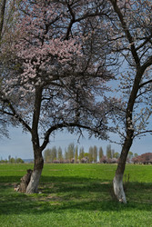 Similar image 22333970