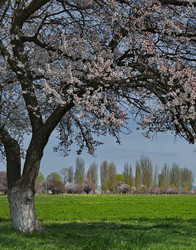 Similar image 22333971