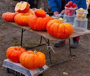 Similar image 22333972