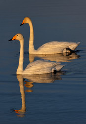 Similar image 22333974