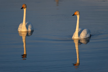 Similar image 22333975