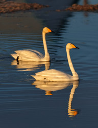 Similar image 22333977