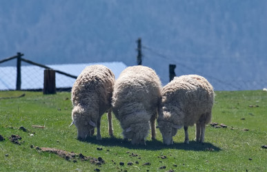 Similar image 22333978