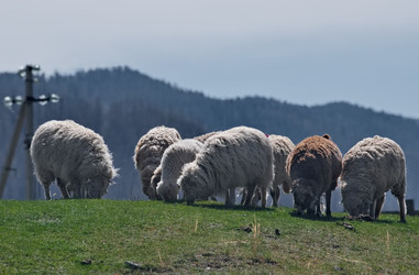 Similar image 22333979