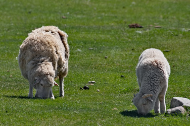 Similar image 22333982