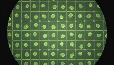 Similar image 22335683