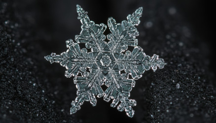 Similar image 22335684