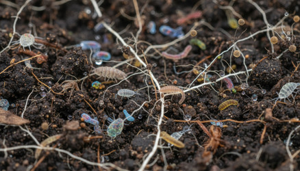 Similar image 22335685