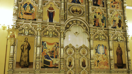 Similar image 22335840