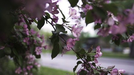 Similar image 22335844