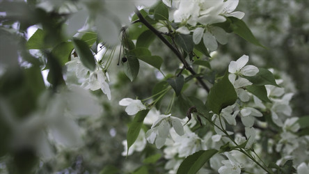 Similar image 22335848