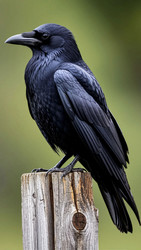 Similar image 22333789