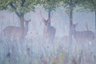 Similar image 22333793