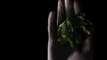 Similar image 22335872