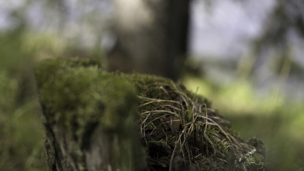 Similar image 22335874