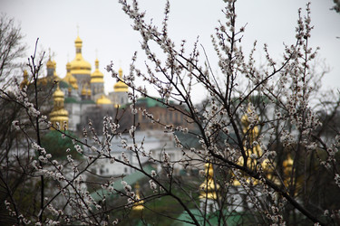 Similar image 22339557