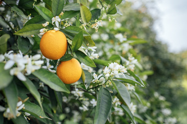 Similar image 22334863