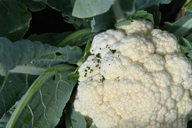 Similar image 22333566