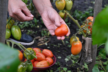 Similar image 22333567