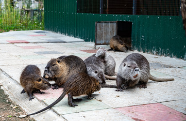 Similar image 22333568