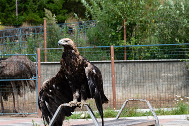 Similar image 22333569