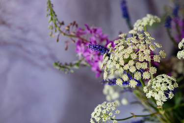 Similar image 22333575