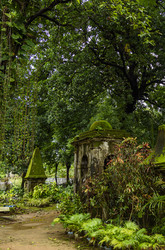 Similar image 22337855