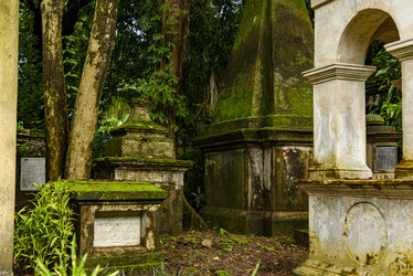 Similar image 22337857