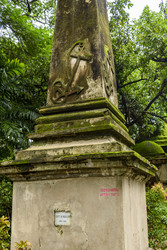 Similar image 22337861