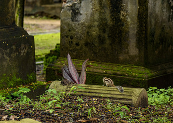 Similar image 22337862