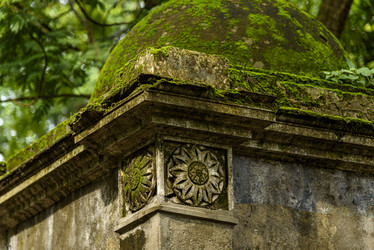 Similar image 22337872