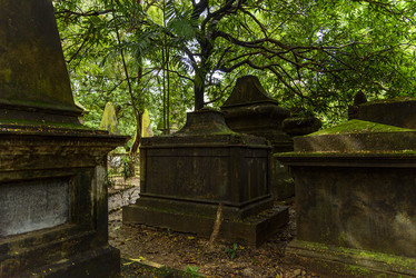 Similar image 22337873