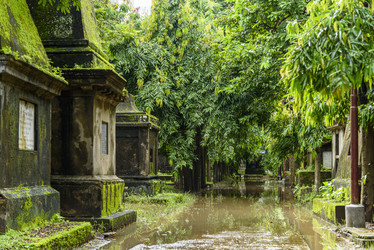 Similar image 22337876