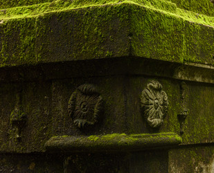 Similar image 22337879