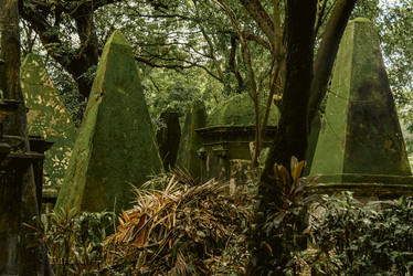 Similar image 22337882