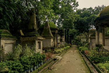 Similar image 22337885