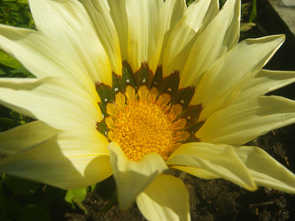 Similar image 22333259