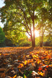 Similar image 22337375