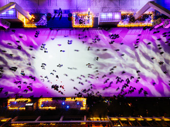 Similar image 22339301