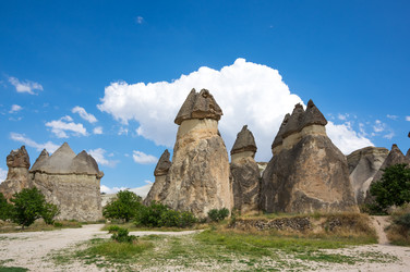 Similar image 22339710