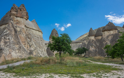 Similar image 22339713