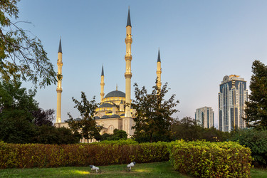 Similar image 22339619