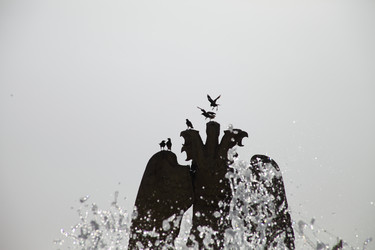 Similar image 22339313