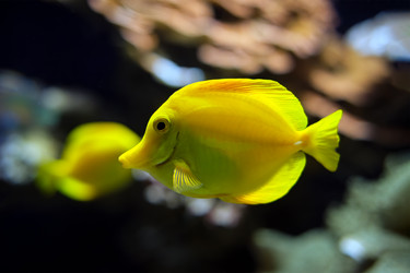 Similar image 22337227