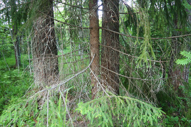 Similar image 22336068