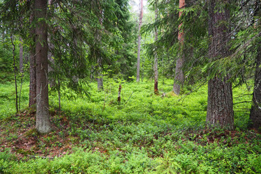 Similar image 22336070