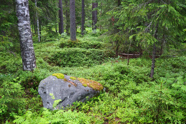 Similar image 22336071